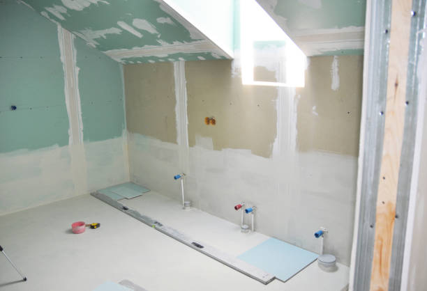 Best Forensic Mold Investigation  in Danvle, IL