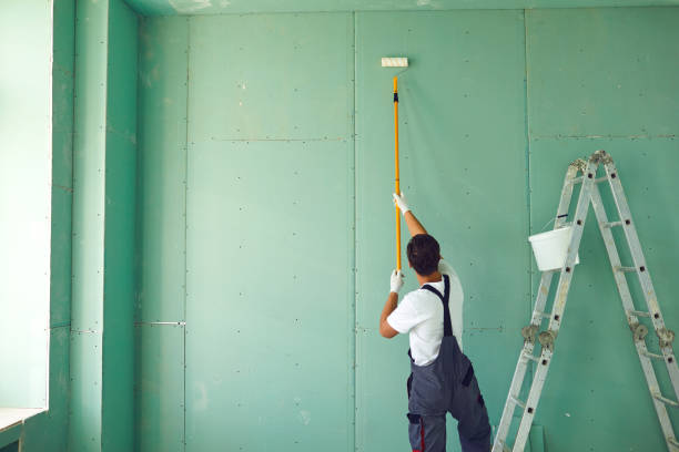 Best HVAC Mold Inspection and Cleaning  in Danvle, IL