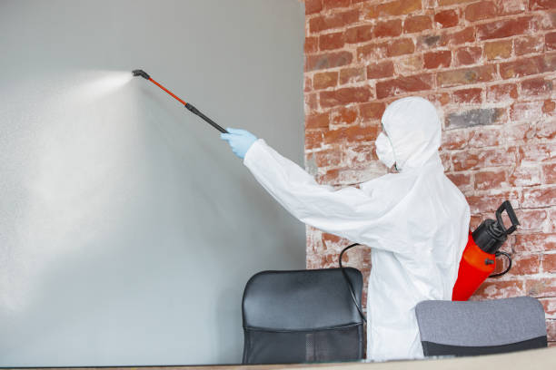 Trusted Danville, IL Mold Removal Experts