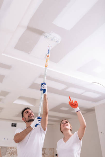 Best Biohazard Mold Removal  in Danvle, IL