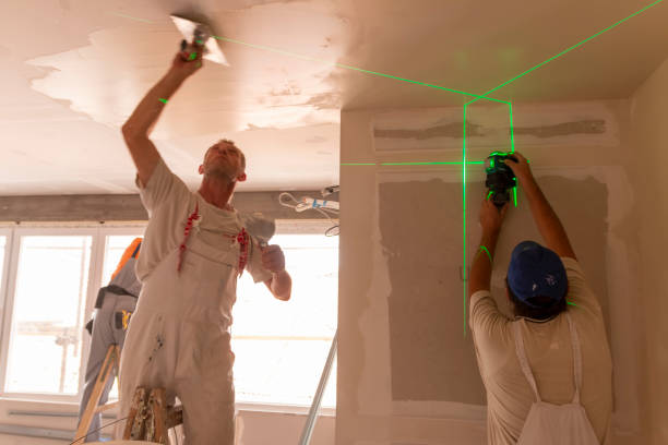 Best Attic Mold Removal  in Danvle, IL