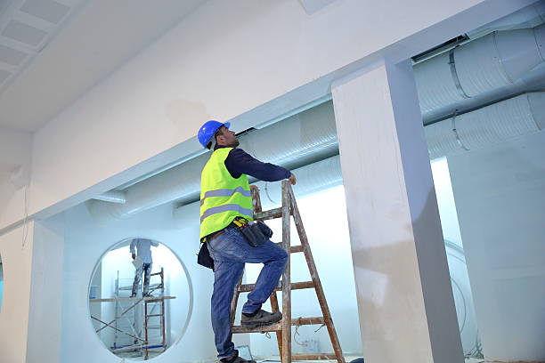 Best Mold Damage Restoration  in Danvle, IL