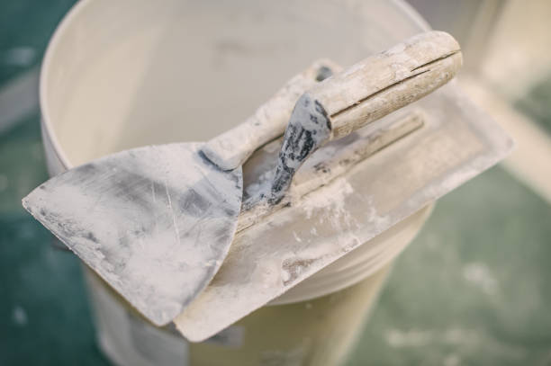 Best Real Estate Mold Inspection  in Danvle, IL